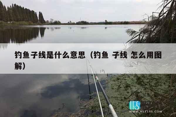 钓鱼子线是什么意思（钓鱼 子线 怎么用图解）