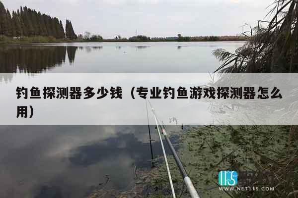 钓鱼探测器多少钱（专业钓鱼游戏探测器怎么用）
