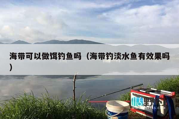 海带可以做饵钓鱼吗（海带钓淡水鱼有效果吗）