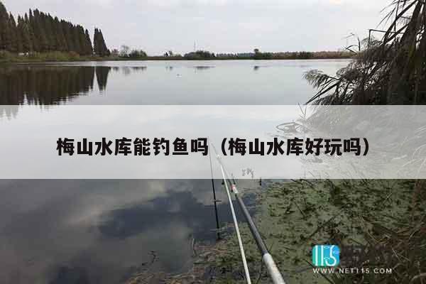 梅山水库能钓鱼吗（梅山水库好玩吗）