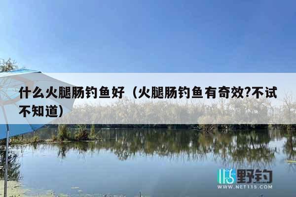 什么火腿肠钓鱼好（火腿肠钓鱼有奇效?不试不知道）