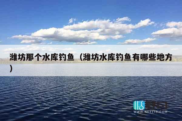 潍坊那个水库钓鱼（潍坊水库钓鱼有哪些地方）