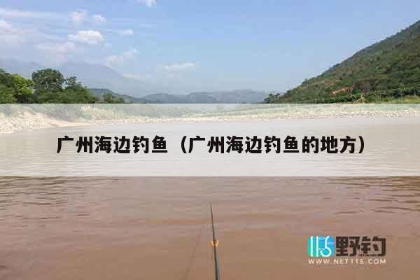 广州海边钓鱼（广州海边钓鱼的地方）