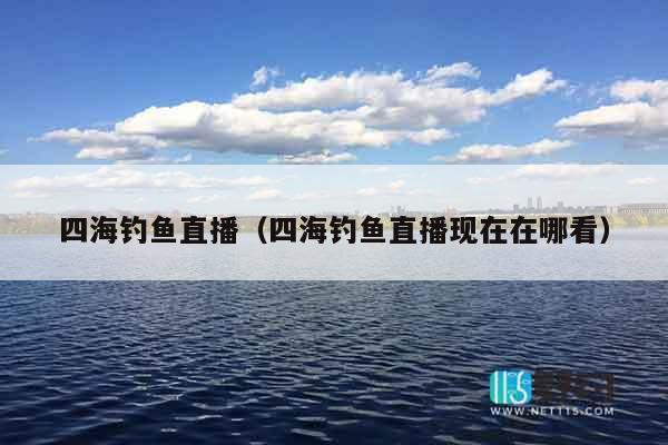 四海钓鱼直播（四海钓鱼直播现在在哪看）