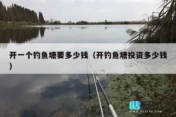 开一个钓鱼塘要多少钱（开钓鱼塘投资多少钱）