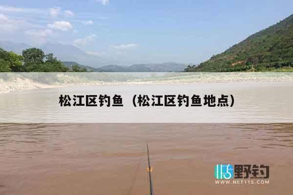 松江区钓鱼（松江区钓鱼地点）
