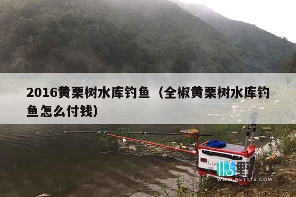 2016黄栗树水库钓鱼（全椒黄栗树水库钓鱼怎么付钱）