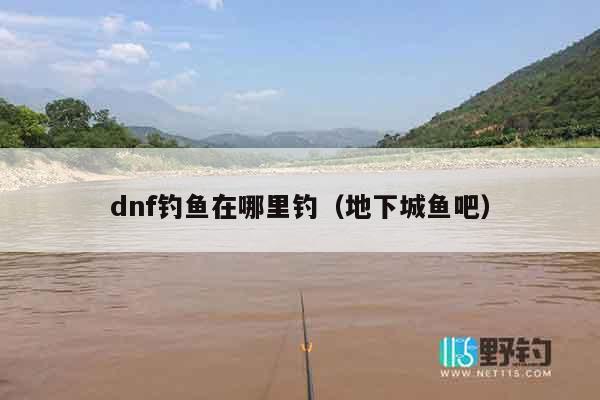 dnf钓鱼在哪里钓（地下城鱼吧）