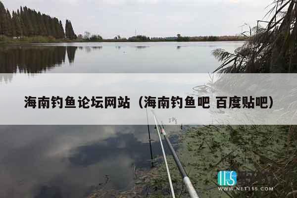 海南钓鱼论坛网站（海南钓鱼吧 百度贴吧）