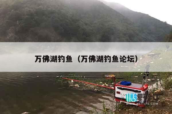 万佛湖钓鱼（万佛湖钓鱼论坛）