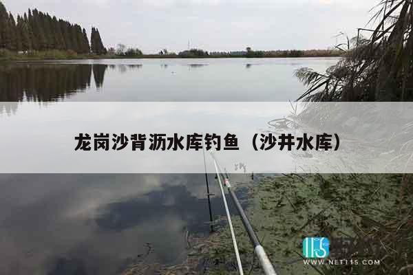 龙岗沙背沥水库钓鱼（沙井水库）