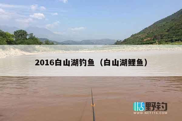 2016白山湖钓鱼（白山湖鲤鱼）