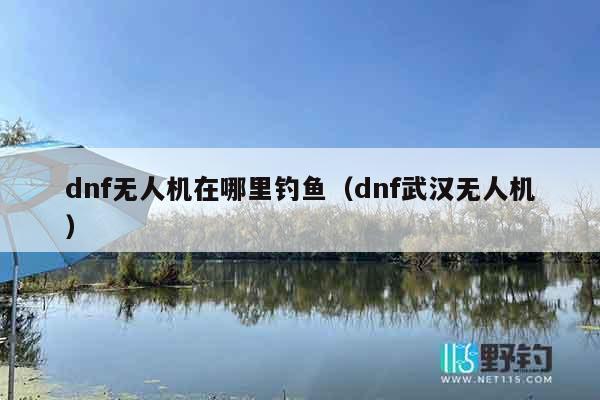 dnf无人机在哪里钓鱼（dnf武汉无人机）