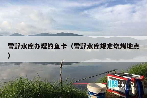 雪野水库办理钓鱼卡（雪野水库规定烧烤地点）
