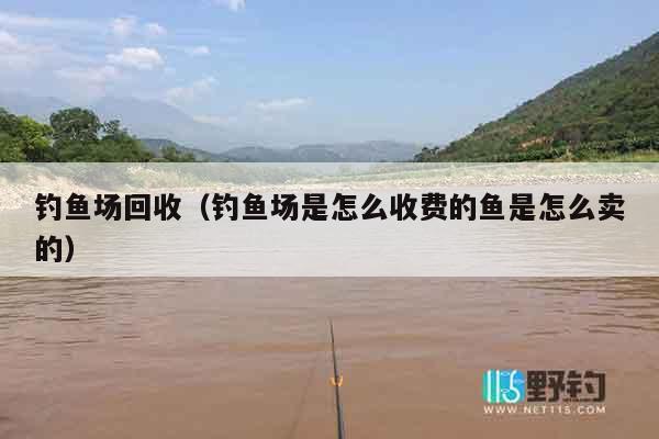 钓鱼场回收（钓鱼场是怎么收费的鱼是怎么卖的）