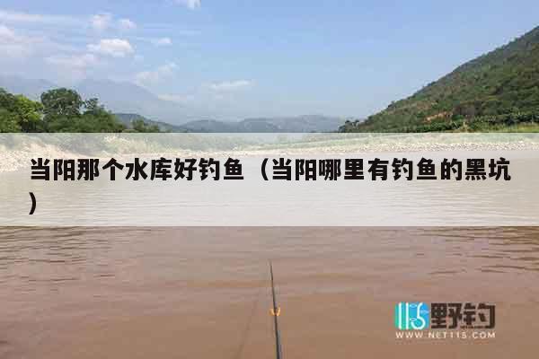当阳那个水库好钓鱼（当阳哪里有钓鱼的黑坑）