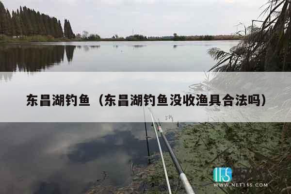 东昌湖钓鱼（东昌湖钓鱼没收渔具合法吗）