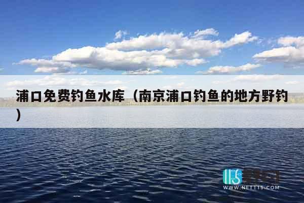 浦口免费钓鱼水库（南京浦口钓鱼的地方野钓）