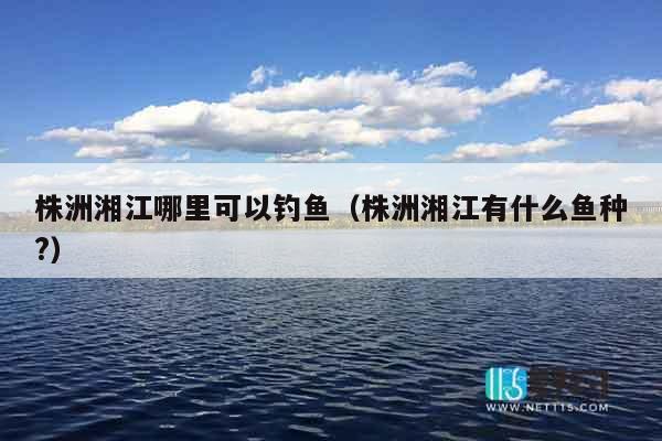 株洲湘江哪里可以钓鱼（株洲湘江有什么鱼种?）