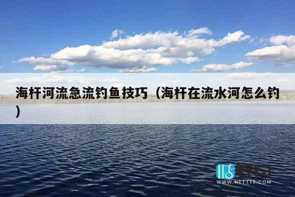 海杆河流急流钓鱼技巧（海杆在流水河怎么钓）
