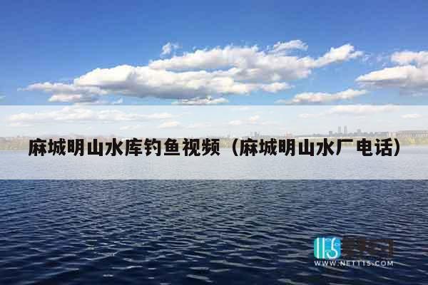 麻城明山水库钓鱼视频（麻城明山水厂电话）