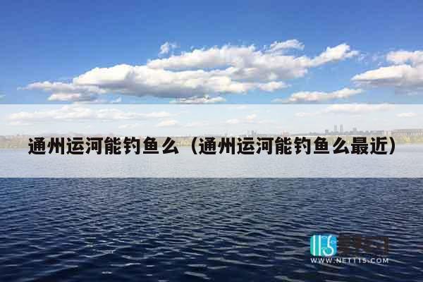 通州运河能钓鱼么（通州运河能钓鱼么最近）
