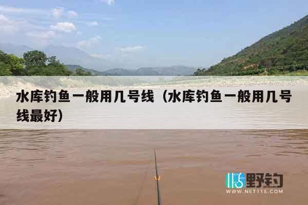 水库钓鱼一般用几号线（水库钓鱼一般用几号线最好）