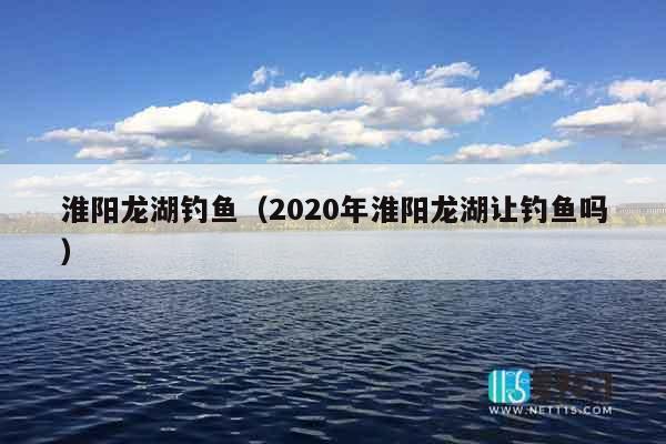 淮阳龙湖钓鱼（2020年淮阳龙湖让钓鱼吗）