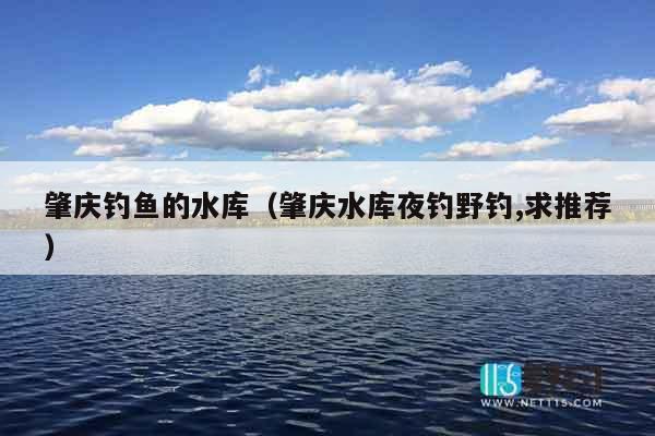肇庆钓鱼的水库（肇庆水库夜钓野钓,求推荐）