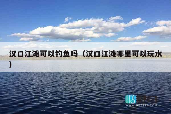 汉口江滩可以钓鱼吗（汉口江滩哪里可以玩水）