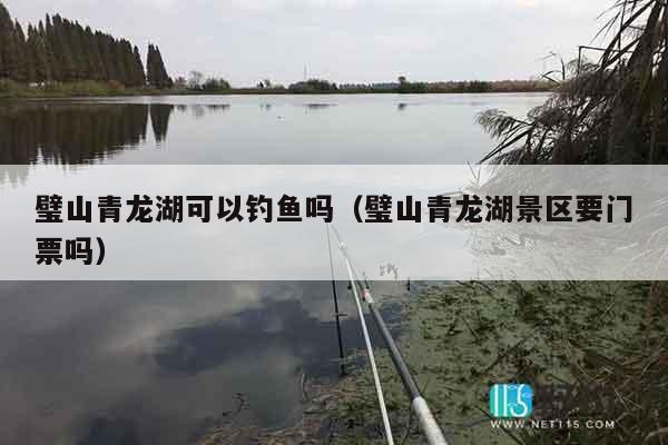 璧山青龙湖可以钓鱼吗（璧山青龙湖景区要门票吗）