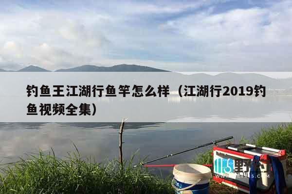 钓鱼王江湖行鱼竿怎么样（江湖行2019钓鱼视频全集）