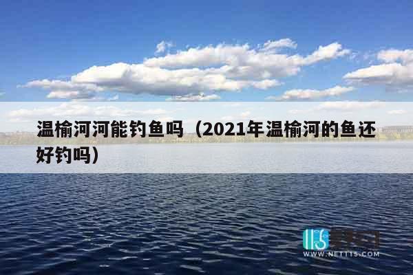 温榆河河能钓鱼吗（2021年温榆河的鱼还好钓吗）