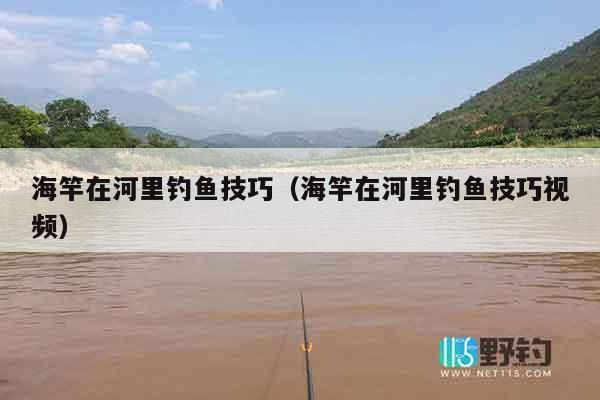 海竿在河里钓鱼技巧（海竿在河里钓鱼技巧视频）
