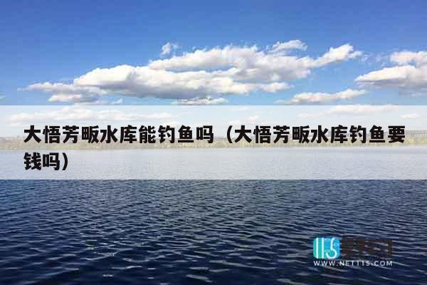 大悟芳畈水库能钓鱼吗（大悟芳畈水库钓鱼要钱吗）