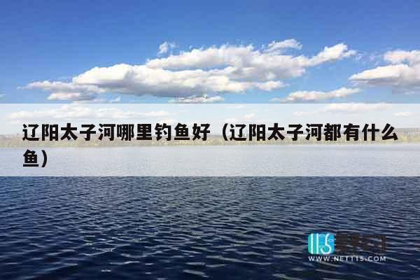 辽阳太子河哪里钓鱼好（辽阳太子河都有什么鱼）