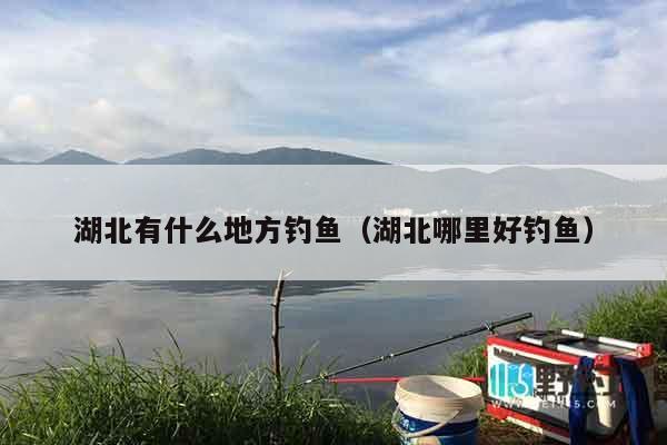湖北有什么地方钓鱼（湖北哪里好钓鱼）