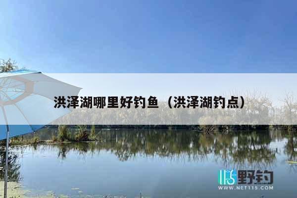 洪泽湖哪里好钓鱼（洪泽湖钓点）