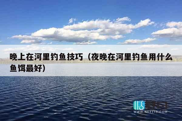 晚上在河里钓鱼技巧（夜晚在河里钓鱼用什么鱼饵最好）