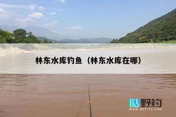 林东水库钓鱼（林东水库在哪）