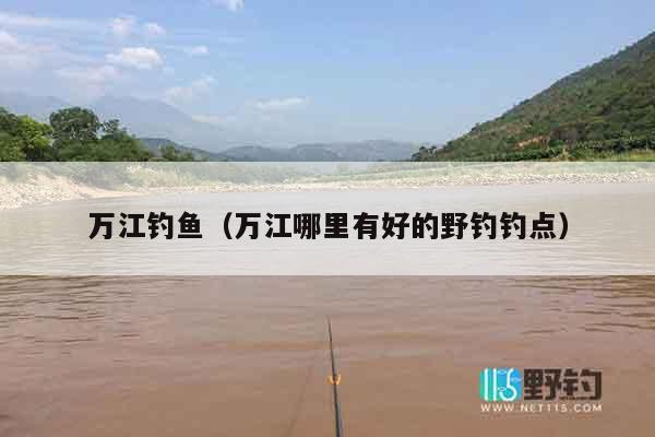 万江钓鱼（万江哪里有好的野钓钓点）
