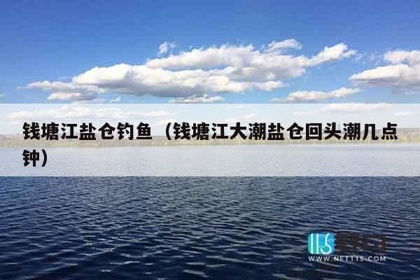钱塘江盐仓钓鱼（钱塘江大潮盐仓回头潮几点钟）