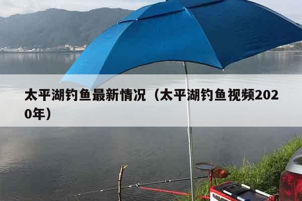 太平湖钓鱼最新情况（太平湖钓鱼视频2020年）