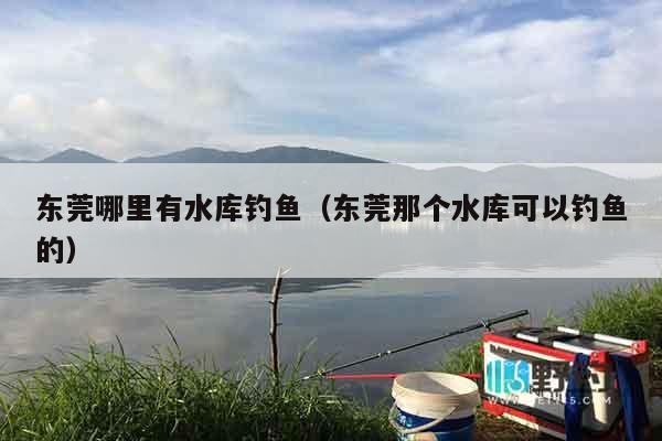 东莞哪里有水库钓鱼（东莞那个水库可以钓鱼的）