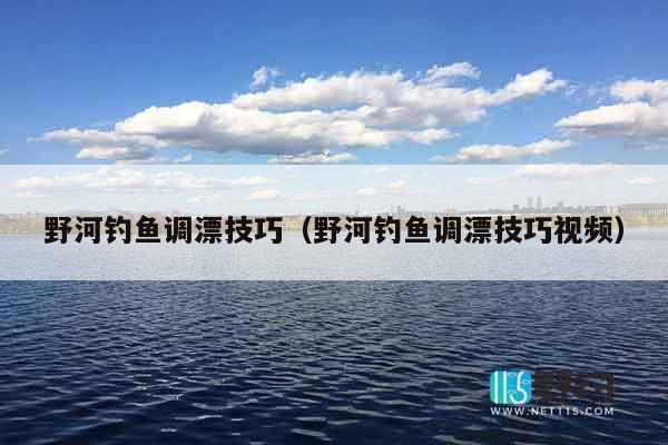 野河钓鱼调漂技巧（野河钓鱼调漂技巧视频）