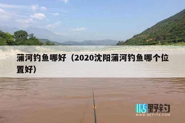 蒲河钓鱼哪好（2020沈阳蒲河钓鱼哪个位置好）