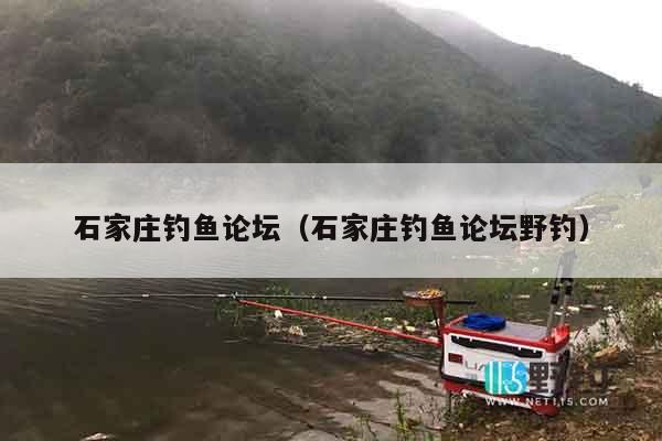 石家庄钓鱼论坛（石家庄钓鱼论坛野钓）