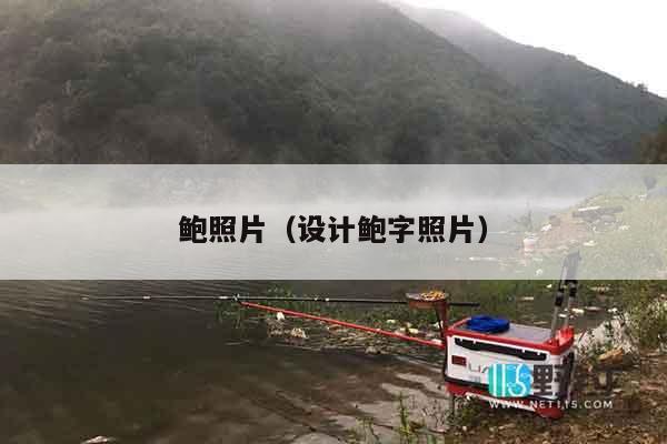鲍照片（设计鲍字照片）