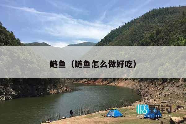 鲢鱼（鲢鱼怎么做好吃）