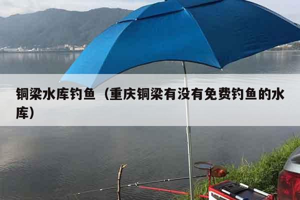 铜梁水库钓鱼（重庆铜梁有没有免费钓鱼的水库）